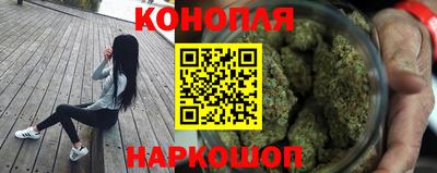 шишки Бузулук