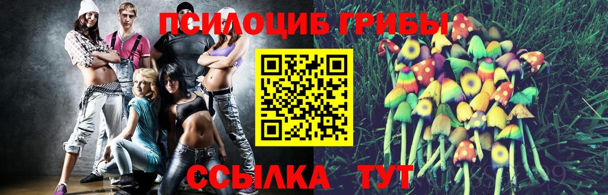 Углич  Псилоцибиновые грибы GOLDEN TEACHER  что такое   Вход с VPN 